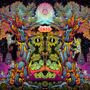 Lord Hanuman: Psychedelic UV - XL Dark Tapestry - Image 2