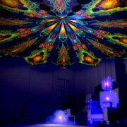 Reincarnation 2: Psychedelic UV-Reactive Canopy (12 petals set) - Image 3