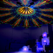 Reincarnation 2: Psychedelic UV-Reactive Canopy (12 petals set) - Image 5