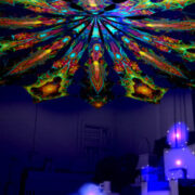 Reincarnation 2: Psychedelic UV-Reactive Canopy (12 petals set) - Image 4