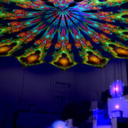 Reincarnation 2: Psychedelic UV-Reactive Canopy (12 petals set) - Image 2