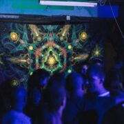 Reincarnation 2: Psychedelic Fluorescent UV Tapestry - Image 5